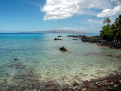 Ahihi Keanau Reserve