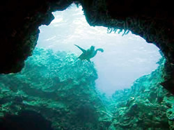 Five Caves Maui